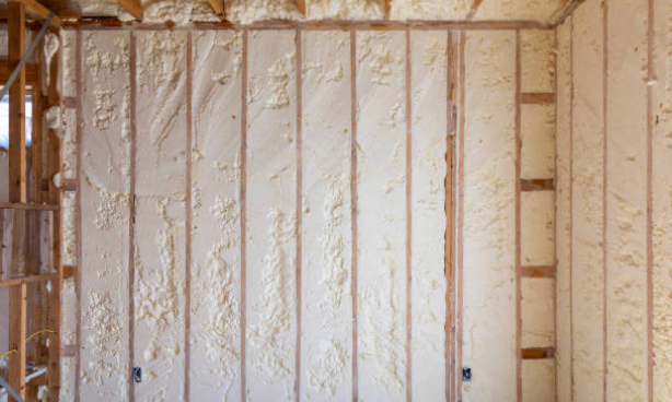 Insulation Genie insulation project in Pinellas County, photo 3